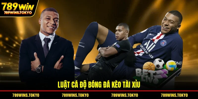 Luật cá độ bóng đá kèo tài xỉu